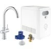 Grohe Einhand-Spültischbatterie Set Blue Professional Chrom 2 Grohe Einhand-Spültischbatterie Set Blue Professional Chrom -KüchenTraum 5188685 4520 31323002 1
