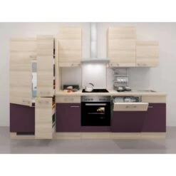 Flex-Well Exclusiv Küchenzeile Focus 310 Cm Akazie Nachbildung Aubergine -KüchenTraum 51 block p3111 focus neu 1