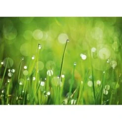 Eurographics Kitchen Glas SpritzschutzGreen Morning II 65cm X 90 Cm -KüchenTraum 561830 1041 dgs dt40091 1