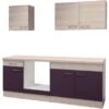 Flex-Well Küchenzeile 210 Cm Ohne E-Geräte Focus Akazie/Aubergine - Akazie -KüchenTraum 5837 4051 l2101606000focus