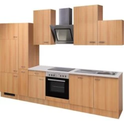 Flex-Well Classic Küchenzeile Nano 310 Cm Buche Nachbildung -KüchenTraum 6 4051 g3102601015nanofrei