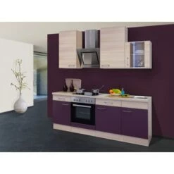 Flex-Well Exclusiv Küchenzeile Focus 220 Cm Akazie-Aubergine